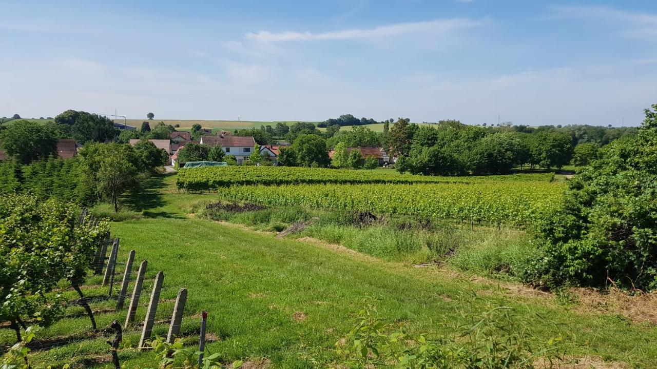 Appartamento Haus Rebenblick Dierbach Esterno foto